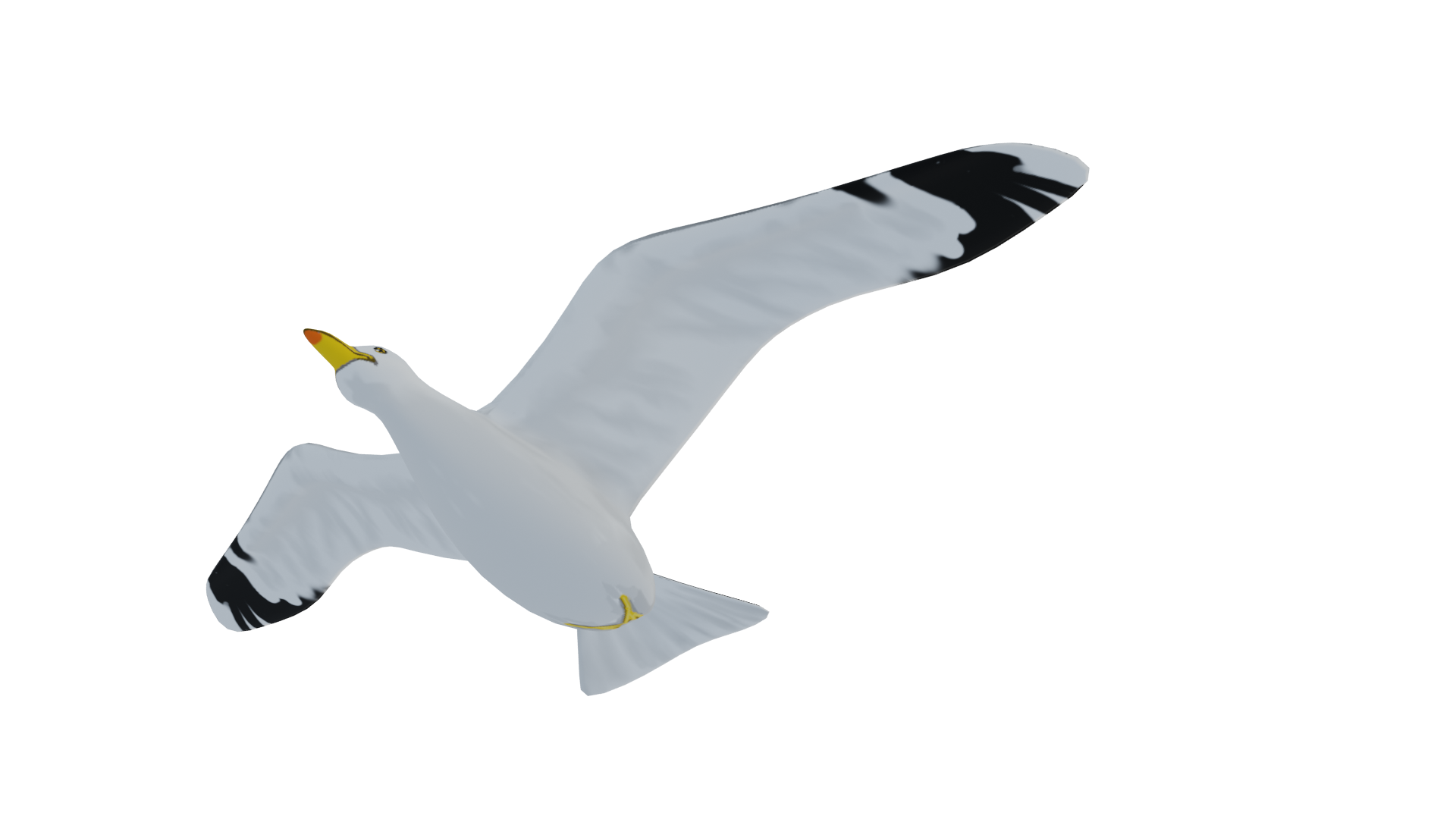 Seagull preview image 2